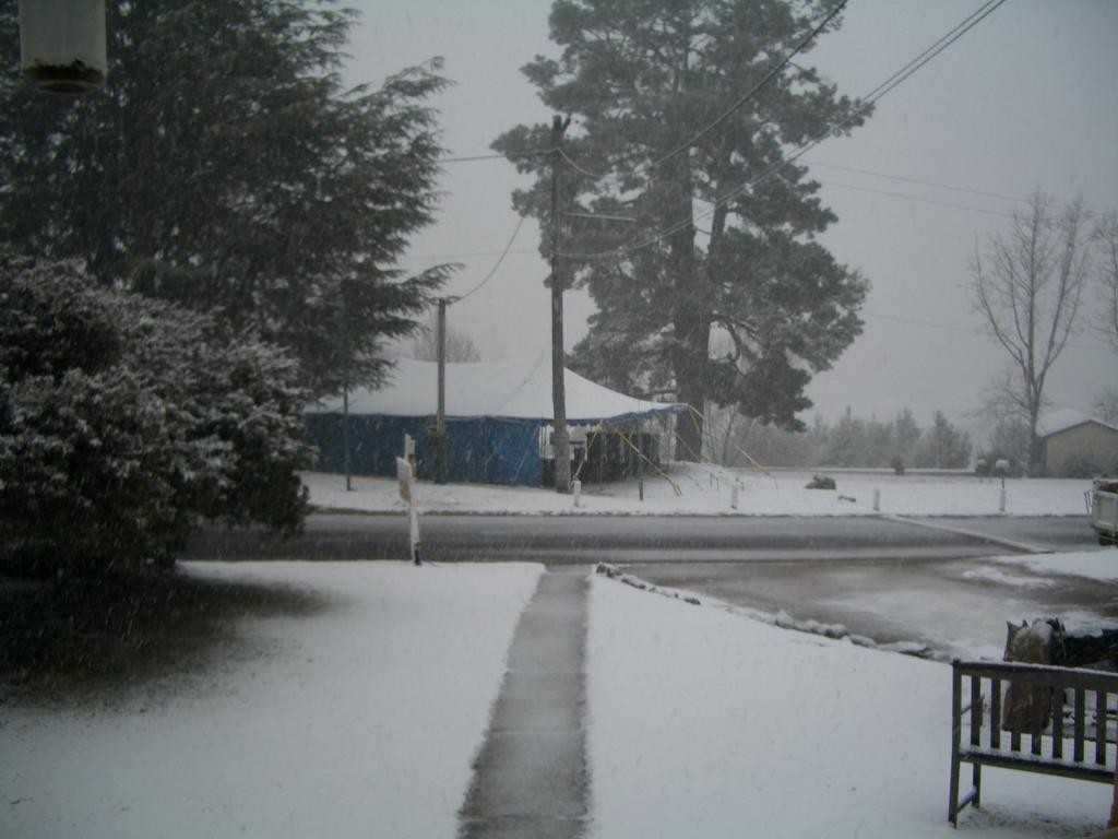 Rainbow Pines Tourist Caravan Park Adaminaby Exterior foto